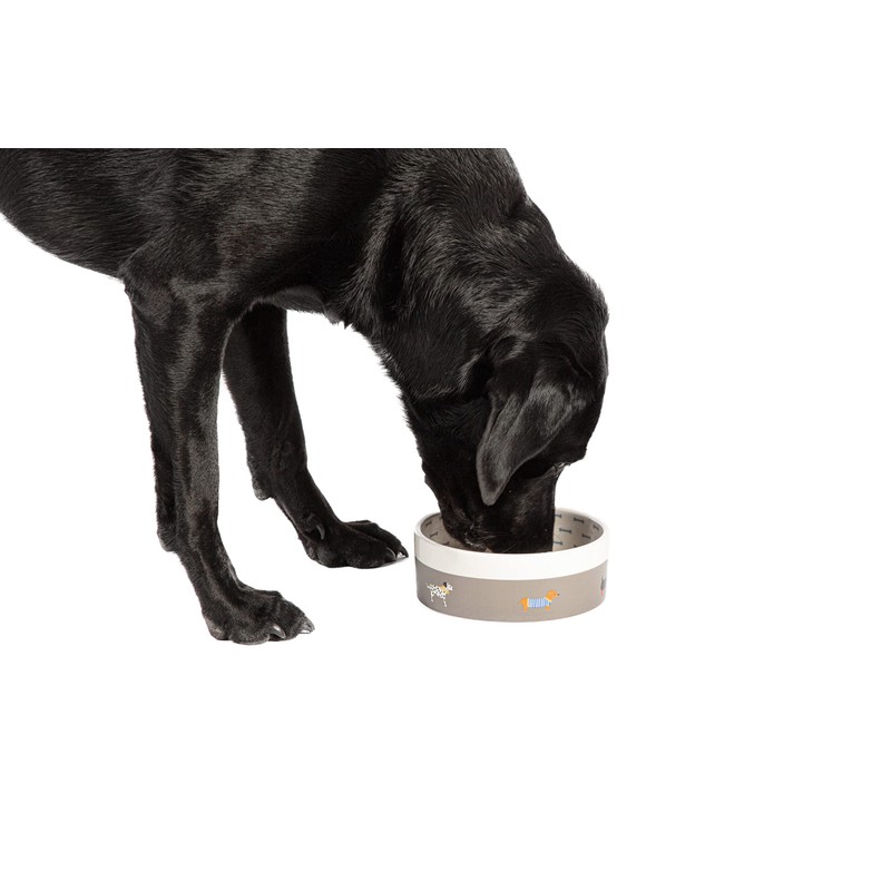 FatFace Marching Dogs Pet Bowl For Dogs
