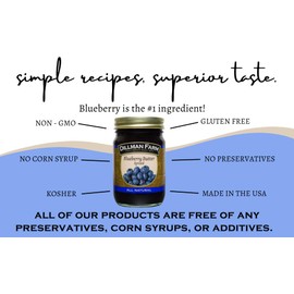 Dillman Farm All Natural Blueberry Butter - Gluten-Free, Non-GMO, Vegan, Kosher, Eco-Friendly, Preservative Free, Corn Syrup Free - Made in USA, 16oz (Pack of 6)