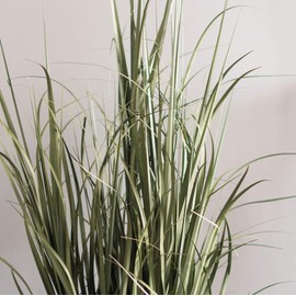 Vickerman TN170148 Everyday Grass Plant