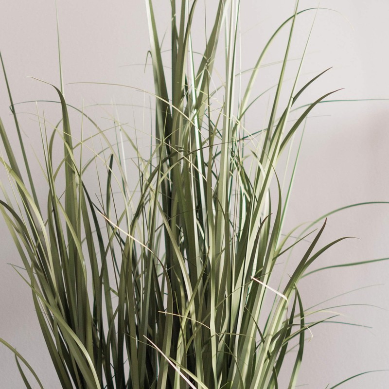Vickerman TN170148 Everyday Grass Plant