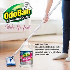 OdoBan Pet Solutions No Rinse Neutral pH Floor Cleaner Concentrate, Made in the USA, Splash O' Citrus Scent, 2 Gallons