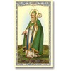 Saint Patrick Holy Card with Irish Blessing on The Back