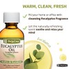 Eucalyptus Essential Oil Aromatherapy for Diffuser or Humidifier 100% Pure