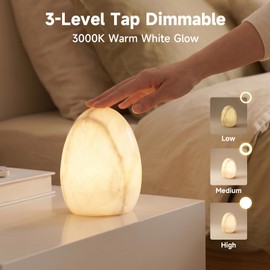 AUGE LIGHT Marble Touch Lamp, Cordless Rechargeable LED Night Light, 3-Level Dimmable Warm Ambient Light for Bedroom, Nightstand, Living Room & Home Decor (Dinosaur Egg Shape)