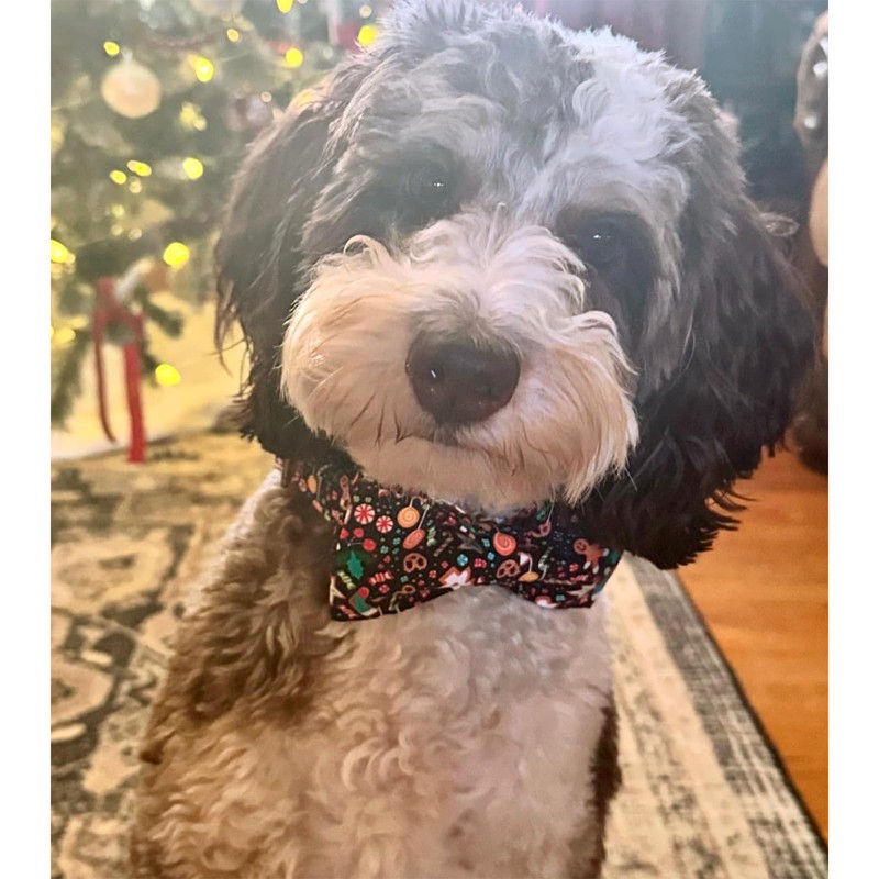 Lionheart glory Christmas Dog Bow Collar Gingerbread Man Print Dog