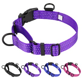 Dlitk Martingale Dog Collars, Adjustable Reflective Nylon Dog Collar for Training Dogs, No Pull Dog Choker Collar for Medium Large Dogs (L, Purple)