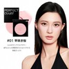 Perfect Diary パーフェクトダイアリー Cheek PD Essence Blush 01