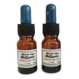 Miel Melipona Beecheii Paquete De 2 Miel Abeja Melipona