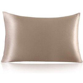 ZIMASILK 100% Mulberry Silk Pillowcase for Hair and Skin,with Hidden Zipper,Both Side 19 Momme Silk,600 Thread Count, 1pc(Standard 20''x26', Taupe)