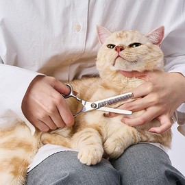 Petio FIXCARE Soft Blade Scissors for Dogs and Cats
