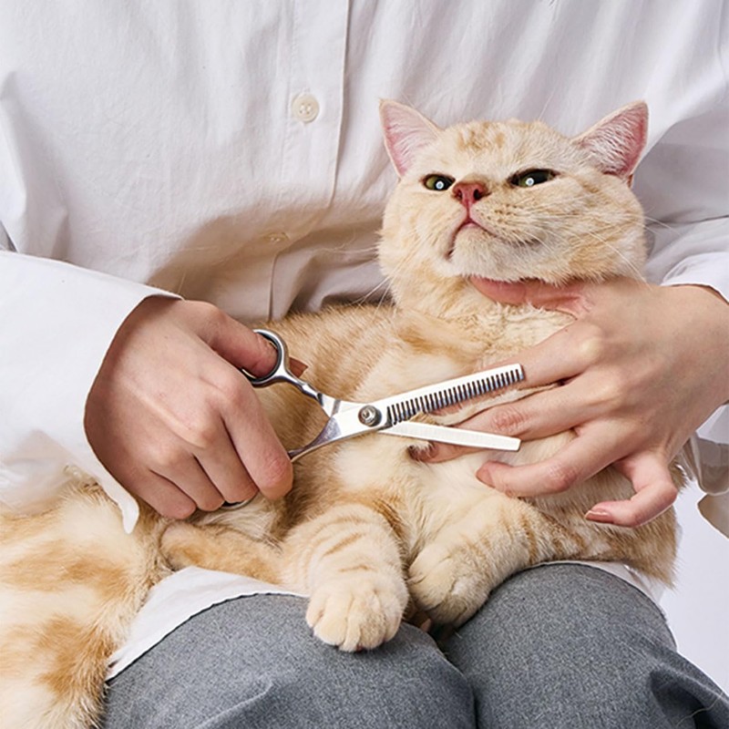 Petio FIXCARE Soft Blade Scissors for Dogs and Cats