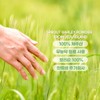 Barley sprout powder Domestic leaf barley sprout powder 500g 2