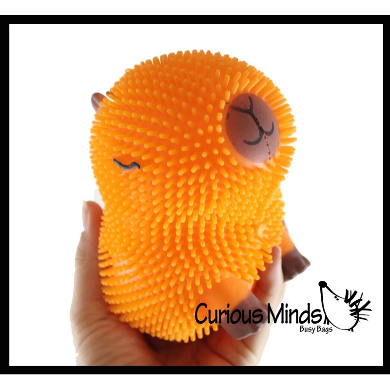 Not Specified 1 RANDOM Capybara 6" Puffer Air- Filled Squeeze