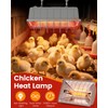 JIAXIDE Dual-Mode 300W Heat Lamp for Chickens - Long-Lasting Brooder