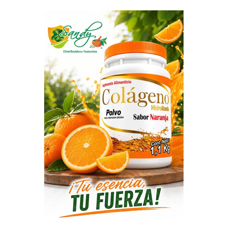 Colágeno Hidrolizado Sandy 1.1 Kg Polvo Sabor Naranja