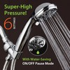 AquaDance High Pressure 6-Setting 3.5" Chrome Face Handheld Shower with