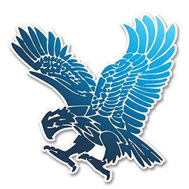 2 x 10cm Eagle Vinyl Sticker Laptop Tablet Car Bike Helmet Bird USA German #6244 (10cm x 10cm)