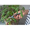 GARDENA FreshCut: stainless steel scissors for harvesting herbs, berries or