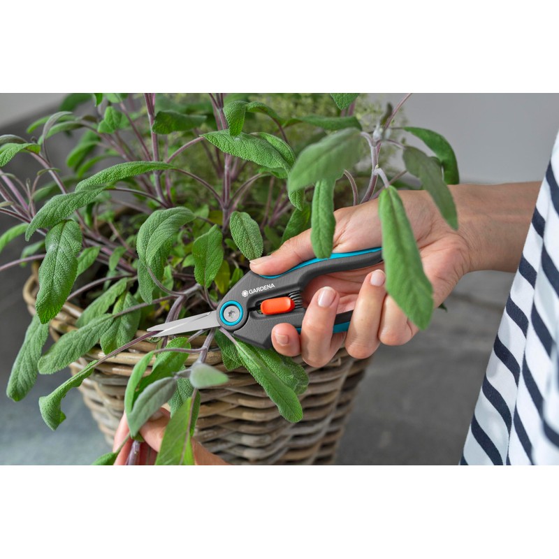 GARDENA FreshCut: stainless steel scissors for harvesting herbs, berries or