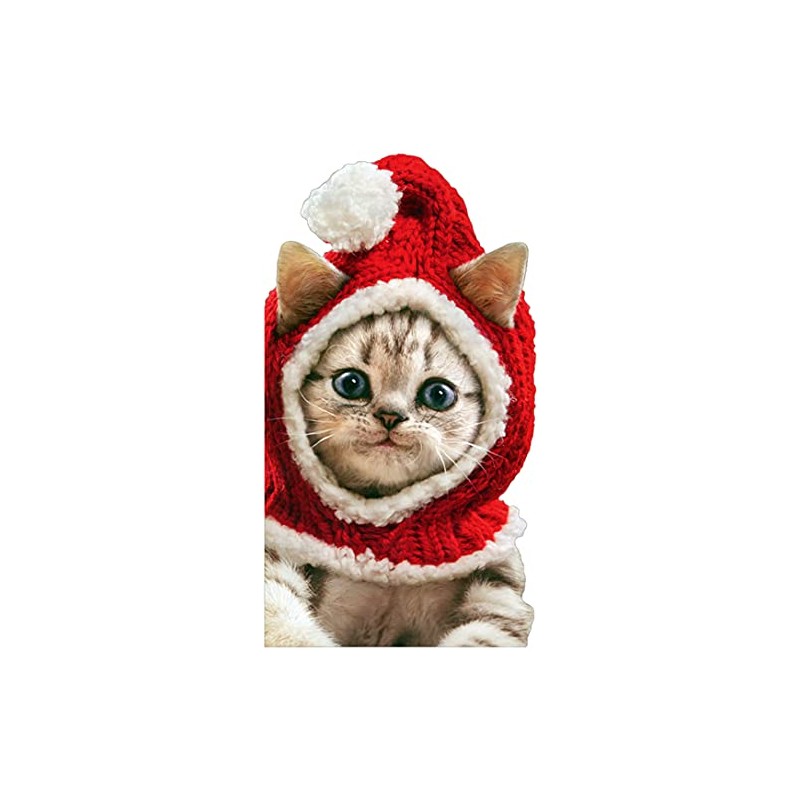 Avanti Press Kitten Wearing Knit Santa Hat Cute Cat Christmas