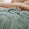 Bedsure Super Soft Home Decor Throw Blanket - Fuzzy Sage