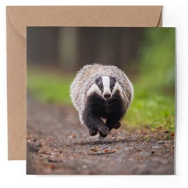 1 x Greeting Card - Funny Running Badger Nature Wildlife - Blank Birthday Celebration Anniversary #52872