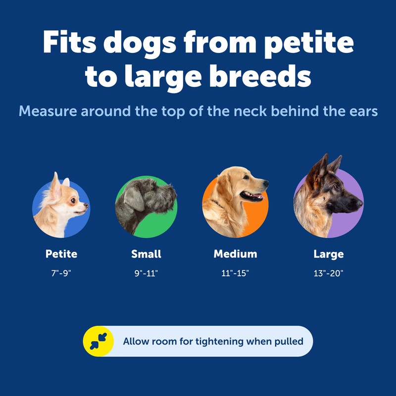 PetSafe Martingale Dog Collar with Quick Snap Buckle - No