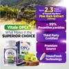 LABO Nutrition LABO Nutrition Vitale OPCs | Premium European Grape
