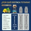 Probióticos, Prebióticos, Postbióticos y Enzimas Digestivas | Fórmula Avanzada para