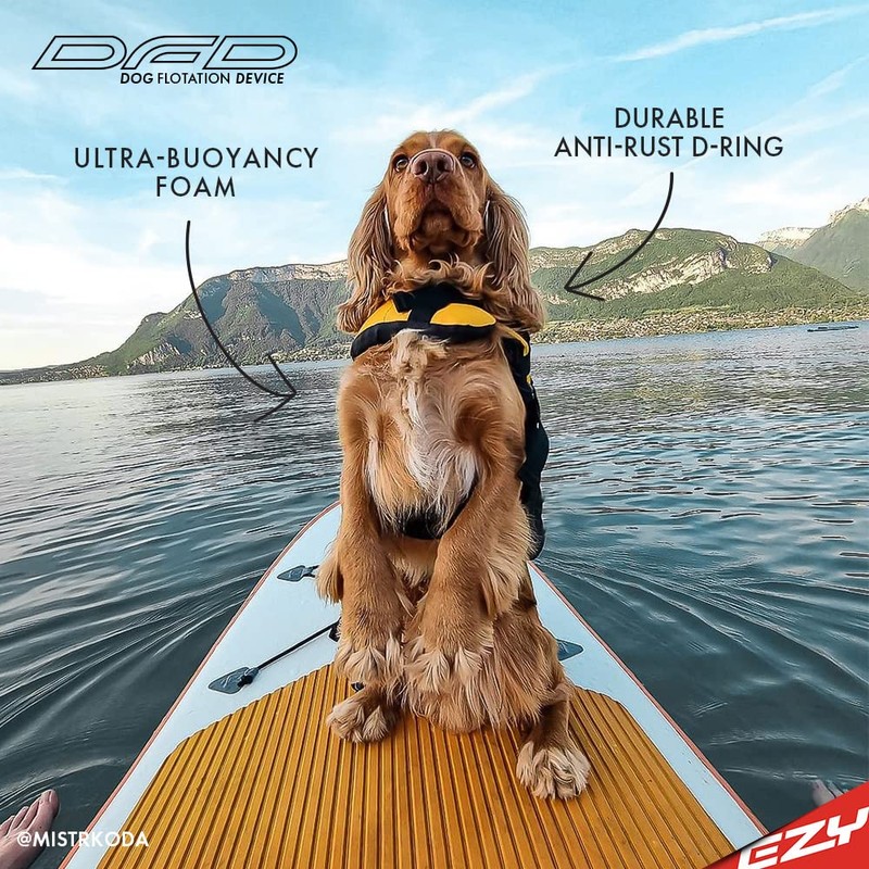 EZYDOG DFD Life Jacket | Lifejacket, Boating, Dog Friendly, Paddle