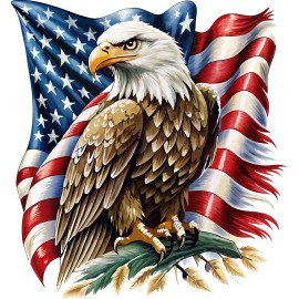 Visionary Enterprises Eagle American Flag RV Motorhome Camper Vinyl Decal Sticker Large 18" x 19.5"