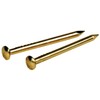 Escutcheon Pins, Brass-Plated, 1-In. x 16, 1.5-oz.