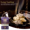 Frankincense Resins | Boswellia Sacra Frankincense Incense |Chruch Incense Olibanum