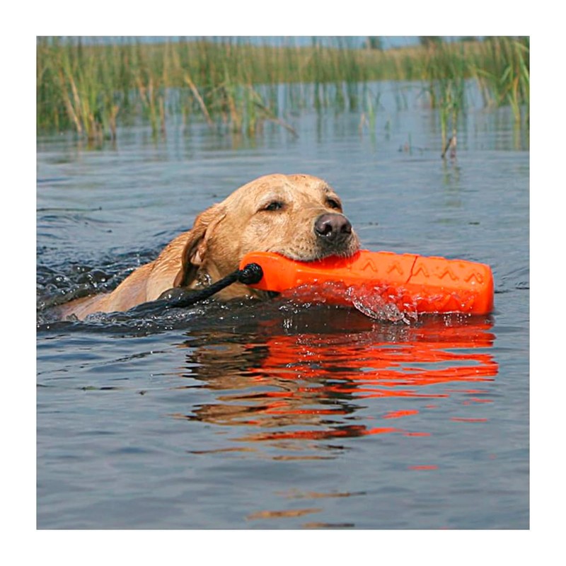 Avery ASD HexaBumper – Sporting Dog Floating Training Dummy with