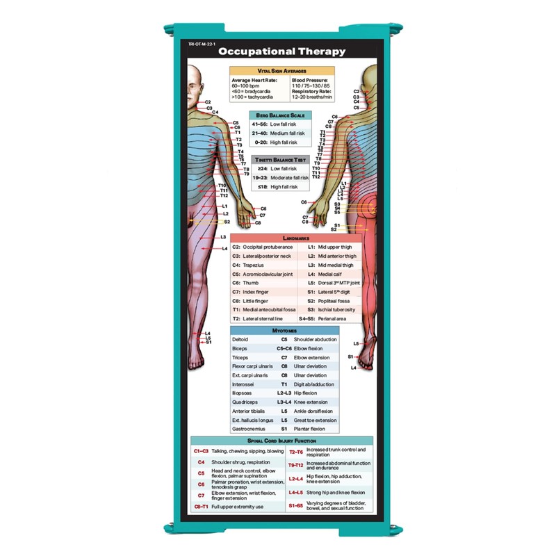 Whitecoat Clipboard® Trifold - Teal Occupational Therapy Edition