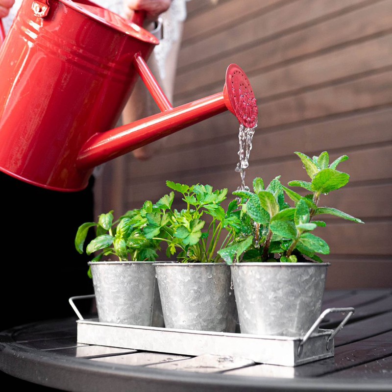 Herb Planter Indoor | Grow Fresh Herbs At Home |