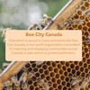 Grandma's For Bees | Old Fashioned Honey Drops | Honey