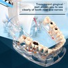 Standard Dental Model for Dentistry Students, Standard Study Teaching Dental
