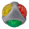 Rosewood Jolly Doggy Catch and Flash Ball for Dogs, clear