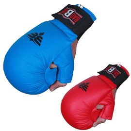 Twister Karate Gloves with Thumb Closing (Blue, L)