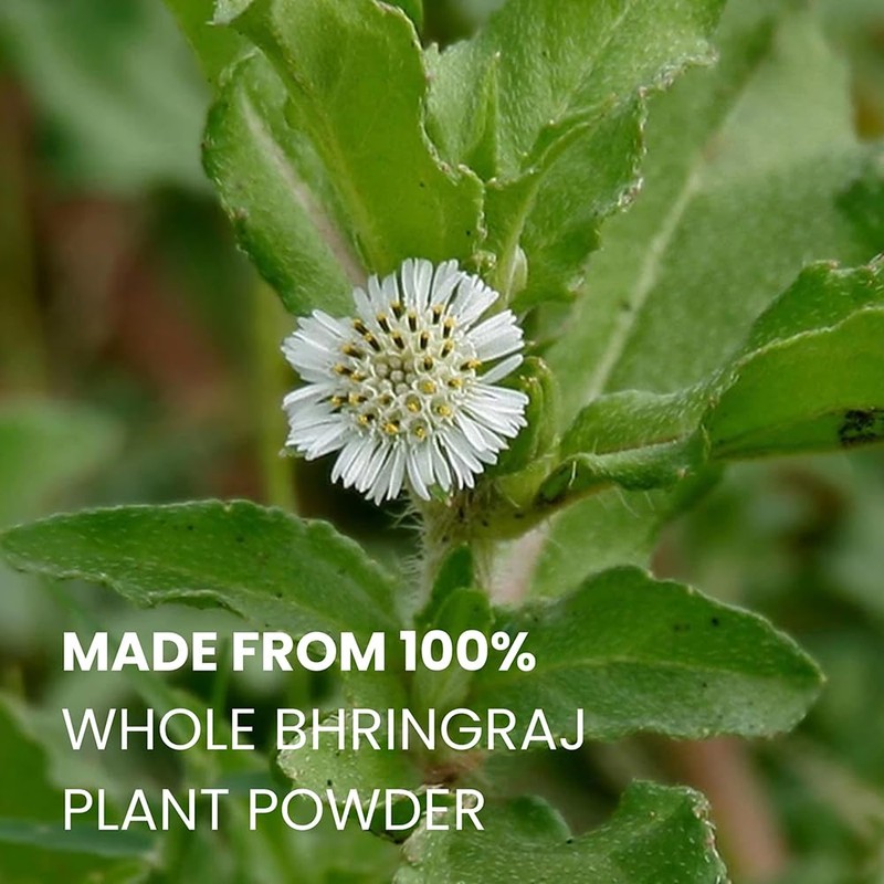 Bhringraj Powder for hair growth 100g | 3.5 oz Hair