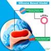 SurgicalSim Bowel Anastomosis Suture Practice Kit, End-to-End Techniques, Includes 20mm