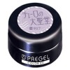 PRE GEL Color EX Cathedral of Cello 917 3g PG-CE917