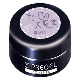 PRE GEL Color EX Cathedral of Cello 917 3g PG-CE917 UV/LED Compatible