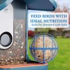 ZIRKOZIR Metal Suet Ball Holder for Bird Buddy Smart Feeders