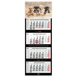 Geiger-Office 4 Month Wall Calendar 2025 Dogs Large Format 33 x 90 cm with Attractive Dog Picture Motif