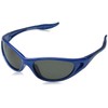 Eyelevel Boys' Dolphin Sunglasses, Blue/Grey Polarized, 50