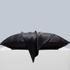 Roseward 100% Mulberry Silk Queen Size Pillowcase, Black, 22 Momme,