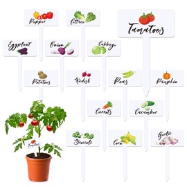 30 Pcs Acrylic Vegetable Labels Signs Waterproof Plant Marker Garden Stake Tags with Vegetable Names and Pictures, 15 Styles T-Type Garden Markers Reusable for Nursery Indoor Outdoor Garden Decoration