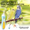 Bird Nail Grinder,Bird Nail Trimmer,Bird Beak Trimmer with LED Lights,Electric